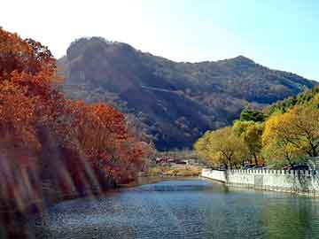 新澳天天开奖资料大全旅游团，霉菌型阴道炎